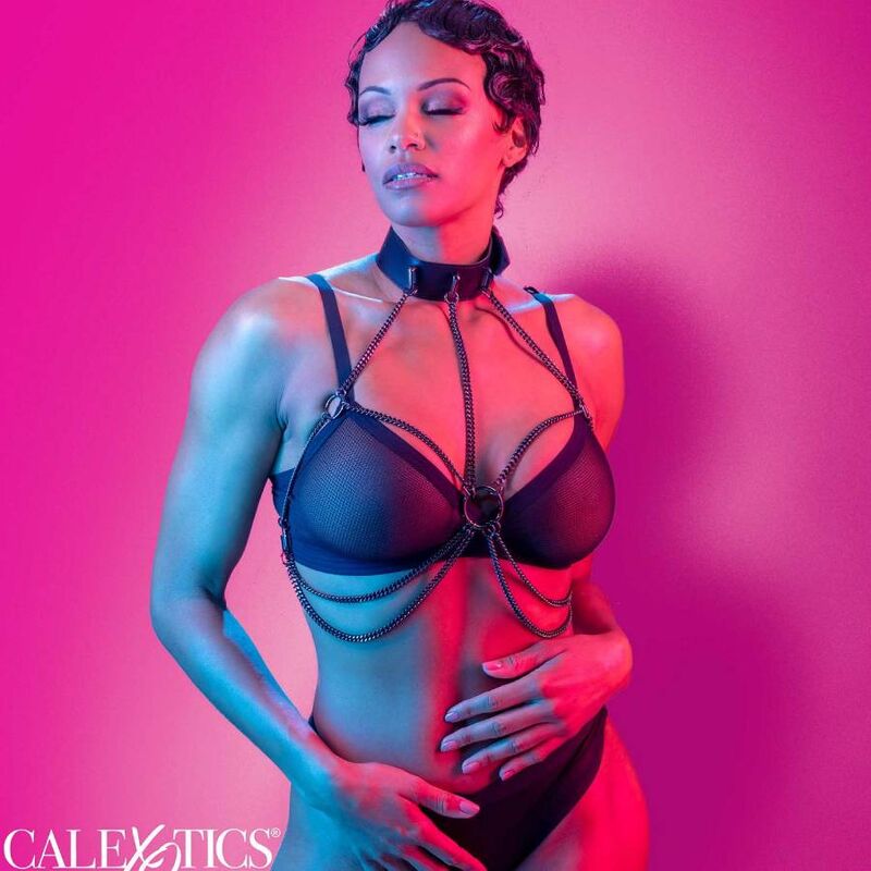 img_173079_4e56323bff84bb2d265976270c4983e1_1