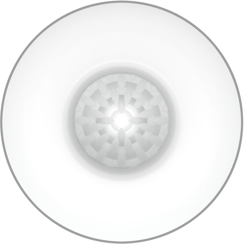 img_191189_33a31db0287dbe883fdd68fced0b669c_1