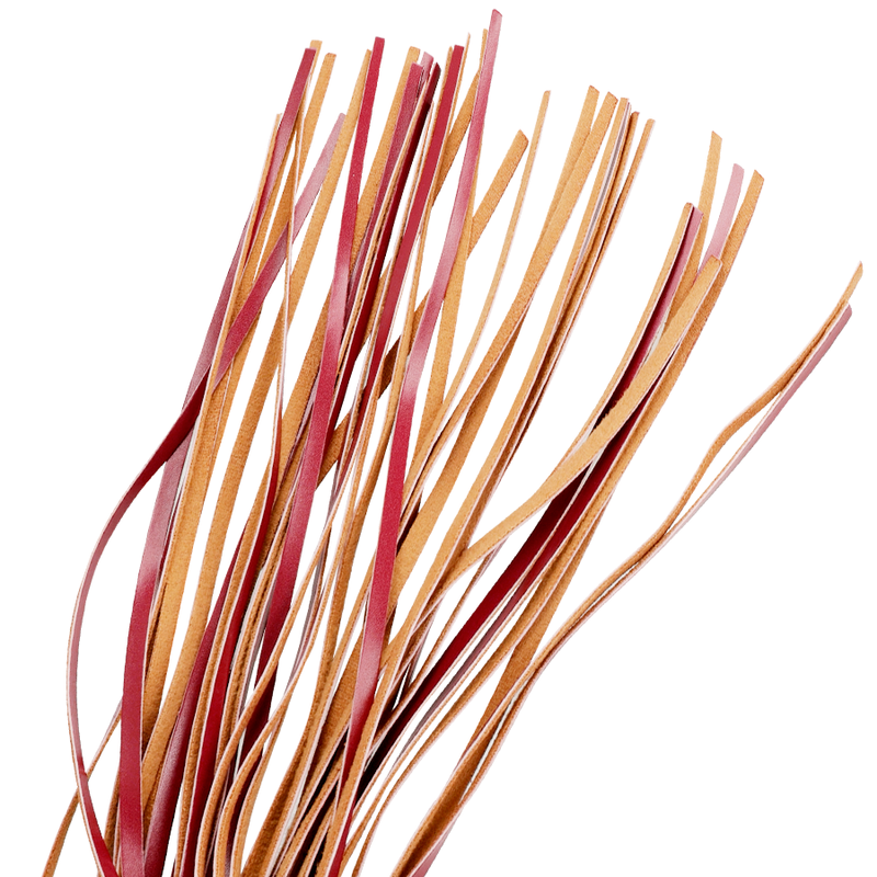 img_97999_b101a914e55f7ee411dda2d33f7c5d01_1